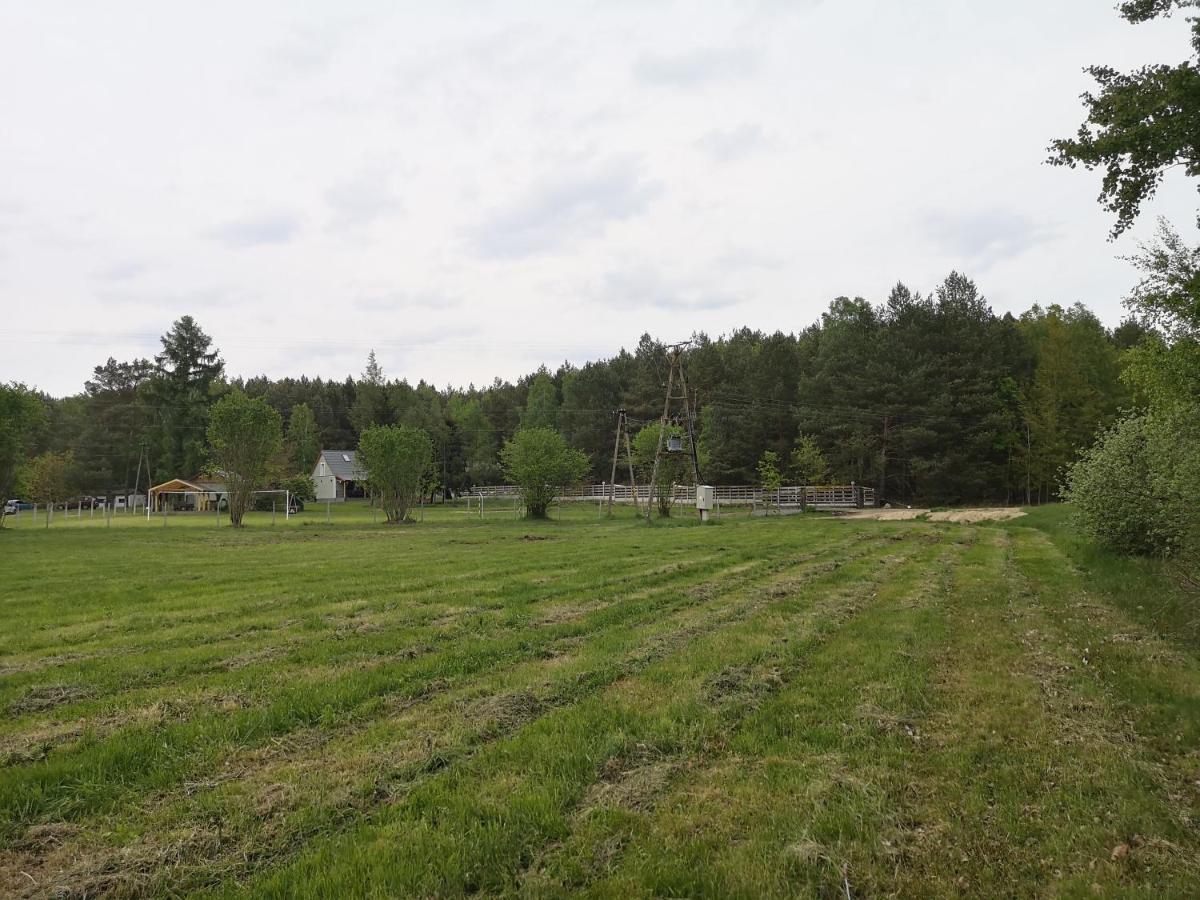 Agroturystyka Plener Miedzichowo Экстерьер фото